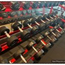 팀스파르타짐 이미지