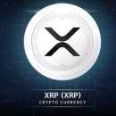 엑스솔류션 이미지