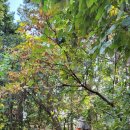 남해-157 이미지