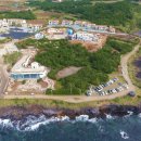 훈데르트힐즈 이미지