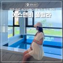 감포하이펜션 | 경주 감포 풀빌라 펜션 추천 송대말등대 애견동반 숙소 에스앤비