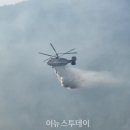 신대호 이미지