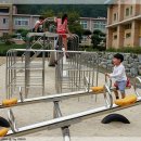 소초초등학교 이미지