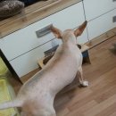 서경석동물병원 이미지