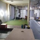 비타민 스크린골프 이미지