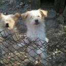 산골낚시터 이미지