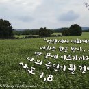 청수8로 이미지