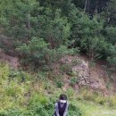 대영 이미지