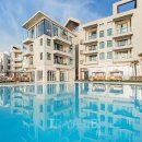 라테라스 이미지