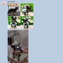 멍냥펫살롱 이미지