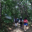 갈매기펜션 이미지