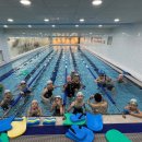 노블스위밍랩 장유율하점 이미지