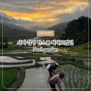 Homes&Garden | 사파에서 발견한 논뷰 레스토랑 - Pavi garden