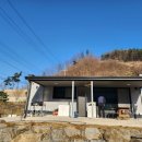 성실하우스크린
