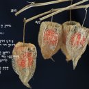 최종만