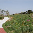 걸작(치코) 이미지