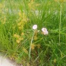 유앤아이부동산중개사무소 이미지