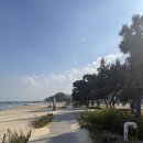 정암 해수욕장 화장실 이미지