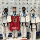 최강합기도 이미지