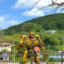 포천시보건소 1층 로비 | 경기도 포천 가볼만한곳 실내 놀거리 볼거리 카페 예술정원1999