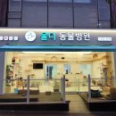 울디 동물병원 이미지