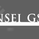 연세대학교 국제학대학원 이미지