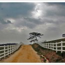 동산목장 이미지