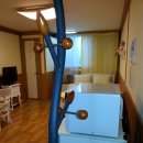 관-비-4-6호 이미지