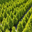 태림농원 이미지