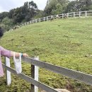 송산 | [광주]광주근교 아이체험장 ‘송산목장’ 솔직후기🐮