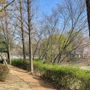 대월놀이공원 이미지