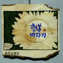 행복바라기