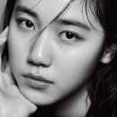 다채컴퍼니