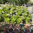 금강사유치원 | 금강숲유치원 입학설명회후기(2026학년도)25.10월후기