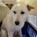 보개약국 이미지