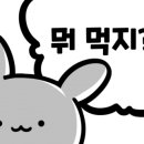 홍대 율촌 이미지