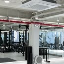 모브핏(Mauve Fit) 이미지