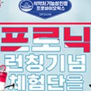 프로닉 네이버블로그