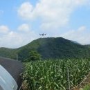 용석농장 이미지