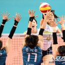 정지윤 카카오 검색결과