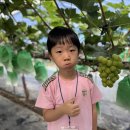 이레농장2 이미지