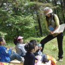 일동초병설유치원 이미지