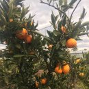 동진2농장 이미지