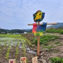 왼손가위잡이미용실 | [전남●나주●광주토종학교] 광주토종학교7기 12강/모내기 하는날/2026.6.7