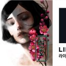 부컴퍼니 이미지