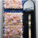 아리따움원예점 | 강남역 안경점 검안실 좋은 아이스타일러 안경 렌즈 선글라스 가성비