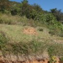 합성동102 이미지