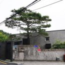 자택 디지털타임스