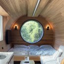 탐스럽개 이미지