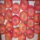 지은유통 이미지